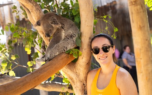 Lawatan Sehari ke Blue Mountains Bersama Bergambar dengan Koala