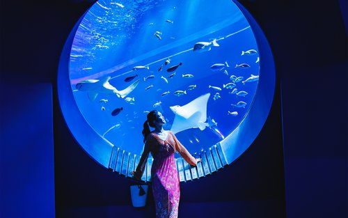 บัตรเข้าชมพิพิธภัณฑ์สัตว์น้ำ DMM Kariyushi Aquarium