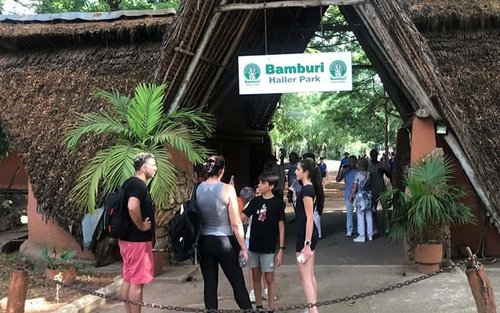 Haller Park Wildlife Encounter & Giraffes Feeding Excursion Mombasa.