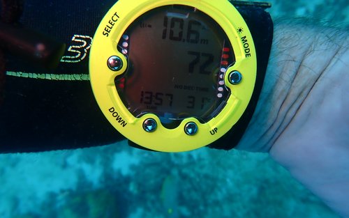Dive Safe: Nitrox Course in Koh Chang with PADI 5* Dive Center