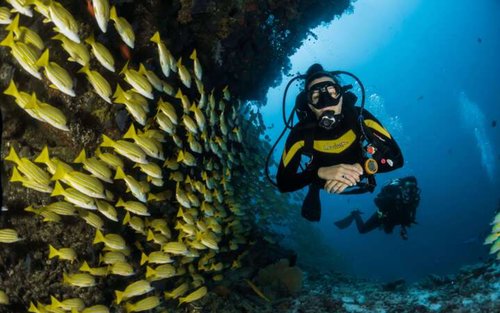 Marsa Alam PADI Advanced Open Water Diver Course