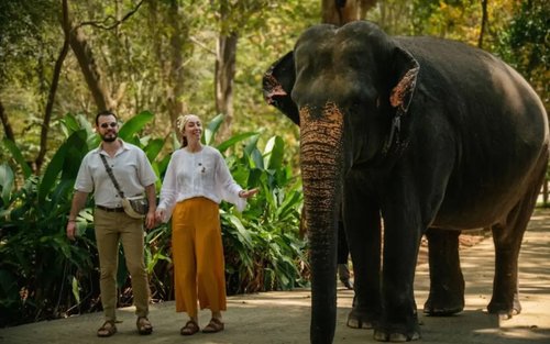 Colombo Kandy & Pinnawala Full-Day Private Tour with Spice Garden