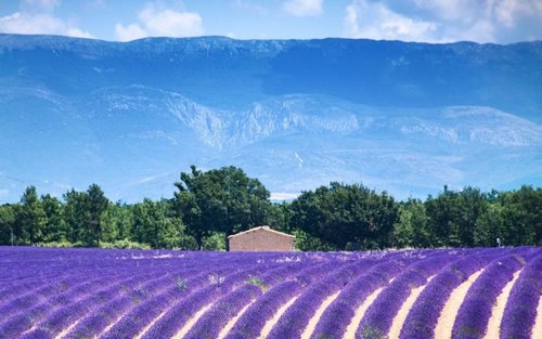 [Gabay sa Korean] [Paglilibot sa Timog France] [Pag-alis sa Nice] Verdon & Moustiers & Aix-en-Provence 