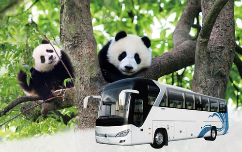 Bus ticket mula Chengdu papunta sa China Giant Panda Garden sa Dujiangyan