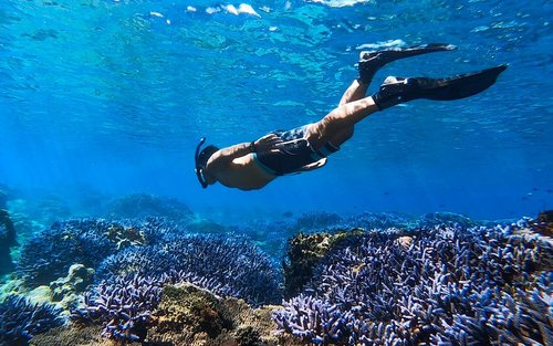 Penghu: Excursão de um dia à Ilhas do Sul / Dongyuping com dois pontos de mergulho, explorando a Baía das Estrelas-do-mar e Lavanda / Jardim de Coral de Nemo