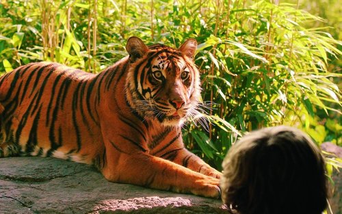Rotterdam Zoo Admission 