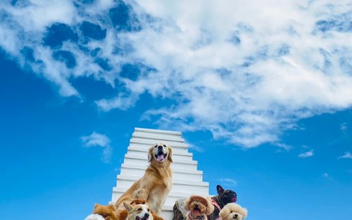 Hualien: Mambo Star Sand Dune Buggy: Sky Mirror Sand Dune Buggy Experience