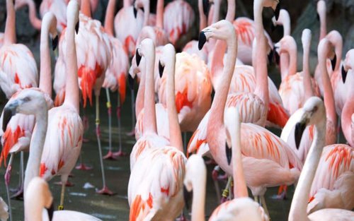 Entrée au zoo d'Atlanta en Géorgie
