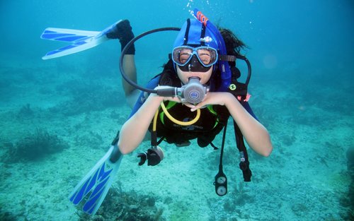 紅海潛水體驗（含午餐和接送） - 埃及沙姆沙伊赫