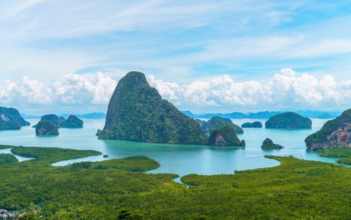 Mushukdan oqayotgan ayolning suti surati