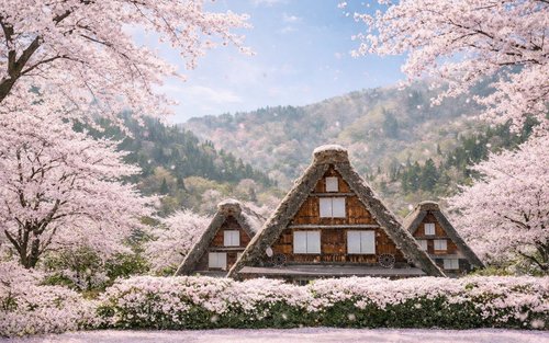 Takayama and Shirakawa-go Day Tour from Nagoya