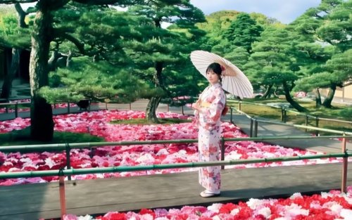 Sakaiminato Matsue Castle, Yuushien & Mizuki Shigeru Road Full-Day Tour