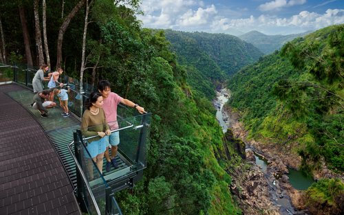 库兰达热带雨林、空中缆车及观光火车一日游（含接送）