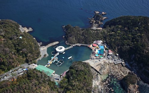 Entrada per a l'Aquari de Shimoda a Shizuoka