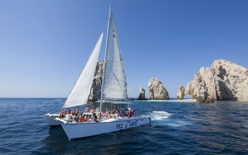 Snorkeling with Pez Gato Experience in Los Cabos