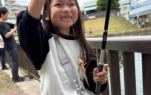 蘭帕斯戶外生活：傳統日本釣魚體驗