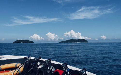 코타키나발루 펀 다이빙 (자격증 필요 / PADI 센터)