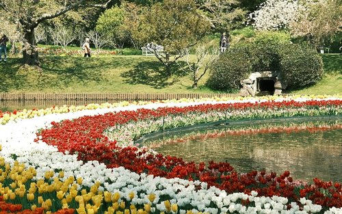 Ashikaga Flower Park & Sano Outlets Full-Day Private Tour