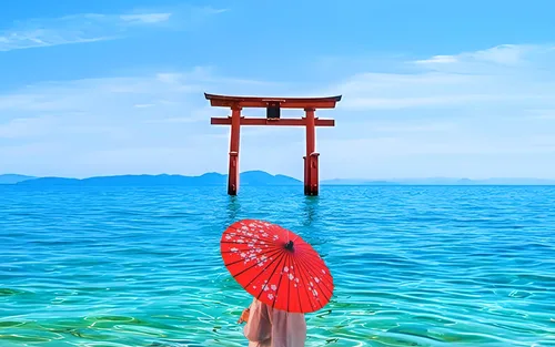 滋贺｜琵琶湖白须神社·展望台/京都岚山三千院·满月寺浮御堂·近江八幡一日游｜大阪/京都出发