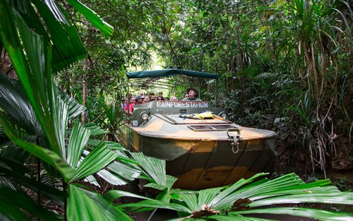 Kuranda Deluxe with Skyrail from Cairns