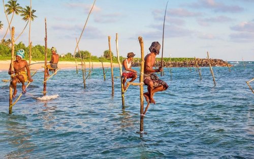 Private Sightseeing Charter Trip for Galle from Bentota