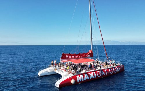 Whale and Dolphin Boat Tour in Adeje