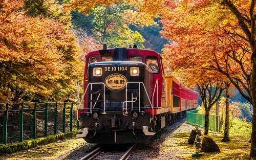 Kyoto Arashiyama & Sanzen-in Small Group Day Tour (Driver-Guide Service)
