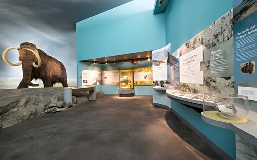 Entrada per al Royal BC Museum