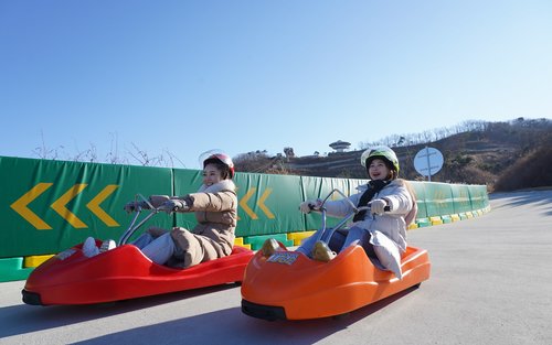 Incheon Day Tour from Seoul: Ganghwado Luge, Railbike, Seagull Ferry