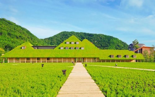 滋賀琵琶湖一日遊｜琵琶湖展望臺 / 京都三千院 & 白鬚神社 & La Collina 近江八幡