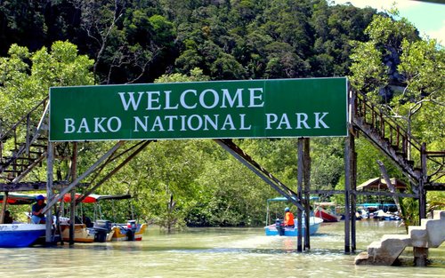 Bako National Park Day Tour in Kuching