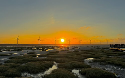 Excursion d'une journée au marché aux fleurs de Zhongshe, aux zones humides de Gaomei, à la clinique ophtalmologique Miyahara, au village arc-en-ciel et à Chun Shui Tang Bubble Tea (Départ de Taipei Ximending)