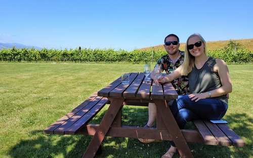 Excursió de mig dia de tast de vins i visites turístiques a Marlborough