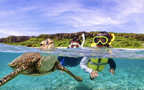 Miyako Island | Outstanding transparency! Snorkeling with sea turtles & Nemo
