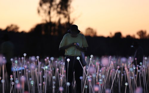 Visite du Champ de Lumière au lever du soleil
