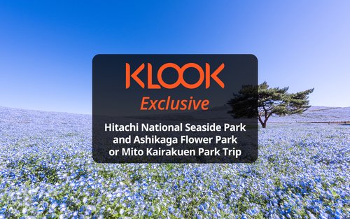 Полная однодневная экскурсия в Токио Hitachi и парк цветов Асикага