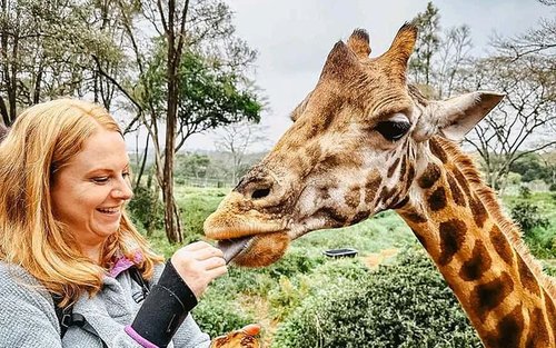 內羅畢：長頸鹿中心和凱倫·布里克森博物館導覽遊