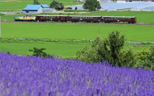 JR北海道札幌 - 富良野區域鐵路周遊券