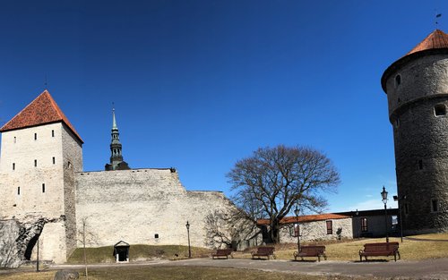 Tallinn Guided Day Tour from Helsinki with Ferry Crossing