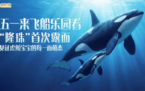 【Klook独家优惠】珠海长隆飞船乐园