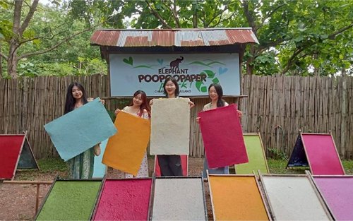 Vstupenka do slonieho parku POOPOOPAPER v Chiang Mai