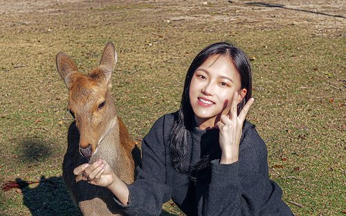 [한국어 가이드 & 리뷰 이벤트] [여행 한 그릇] 오사카 출발 나라 우지 교토 기온거리 버스 투어