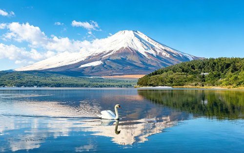 Des de Tòquio: Excursió de dia complet al Mont Fuji i al llac Kawaguchiko