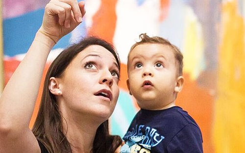 Pass per i musei di Houston