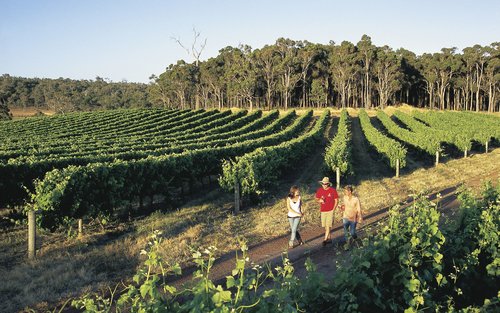 Tour di 4 giorni ad Albany, ANZAC Tree Top Walk e Margaret River