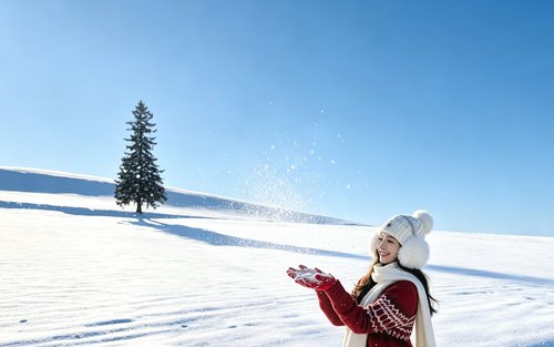 Winter Limited Hokkaido Romantic Illumination Day Tour｜Christmas Tree・Shirogane Blue Pond Night Illumination・Forest Elf Terrace・Shikisai no Oka (Optional Snowmobile Experience)｜Departing from Sapporo