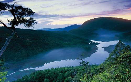 Taipingshan National Forest Recreation Area Ticket in Yilan