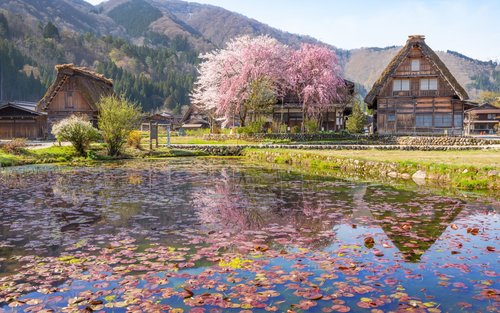 Dagstur til Shirakawa-go, Gujo Hachiman og Hida Takayama