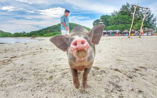 Ko Samui Half-Day Ko Madsum & Ko Rap Beach Tour with Dinner