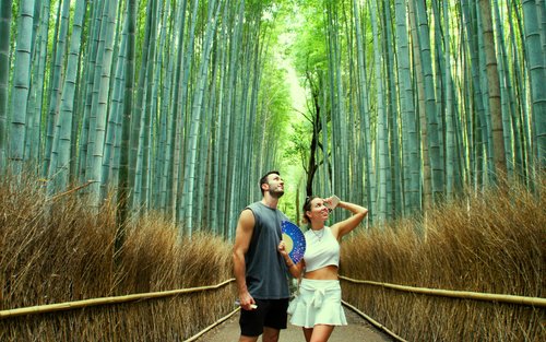 Kyoto: Arashiyama Bamboo, Matcha, Monkeys & Temple Tour